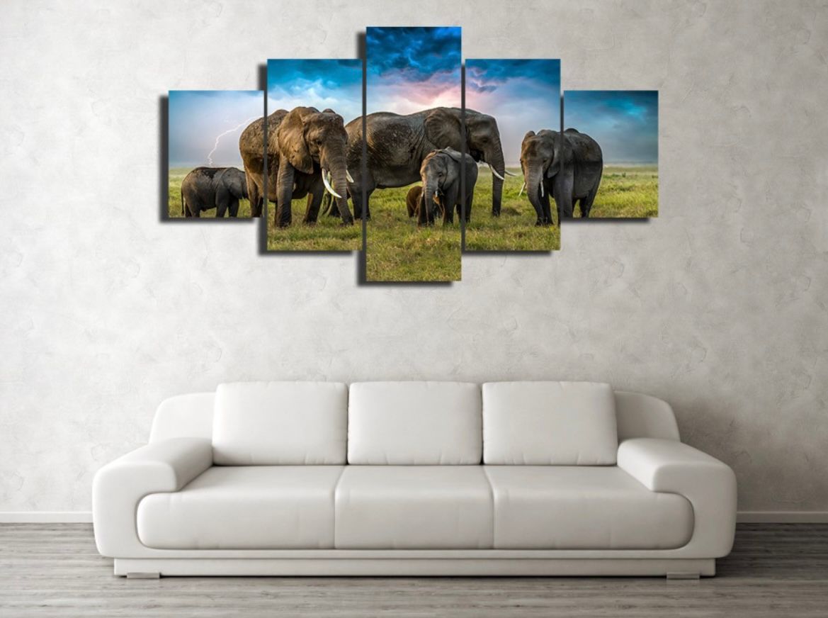 5 Piece Custom Canvas - Elephants